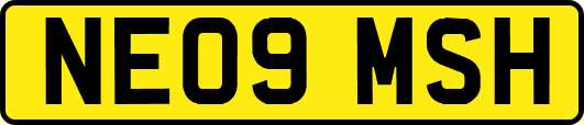 NE09MSH