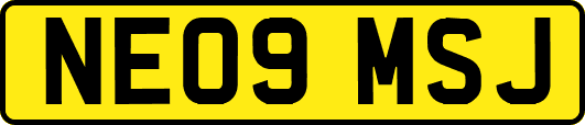 NE09MSJ