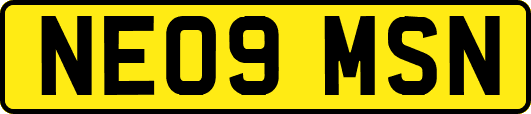 NE09MSN