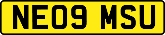 NE09MSU
