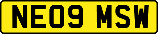 NE09MSW