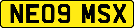 NE09MSX