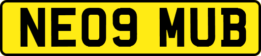 NE09MUB