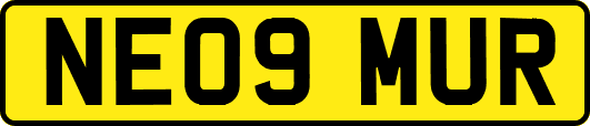 NE09MUR