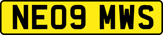 NE09MWS