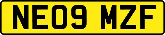 NE09MZF