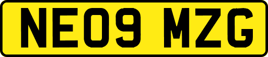 NE09MZG