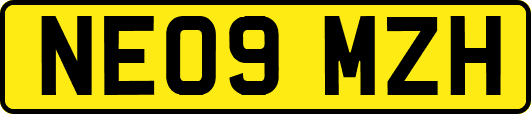 NE09MZH
