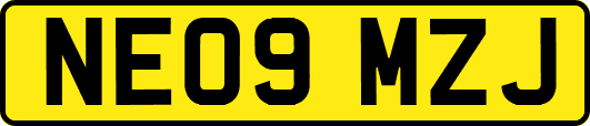 NE09MZJ