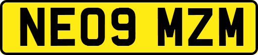 NE09MZM