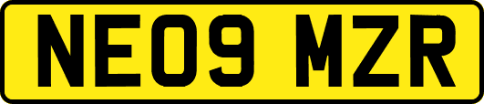 NE09MZR