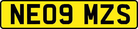 NE09MZS