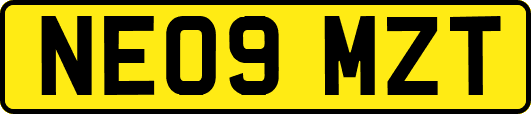 NE09MZT