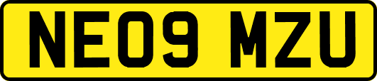 NE09MZU