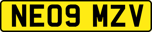 NE09MZV
