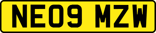 NE09MZW