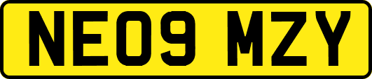 NE09MZY