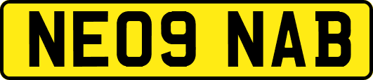 NE09NAB