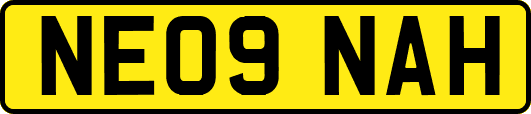 NE09NAH