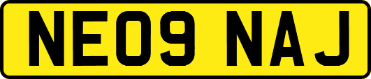 NE09NAJ