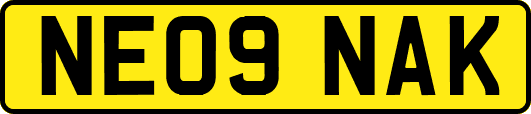 NE09NAK