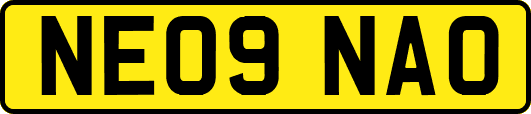 NE09NAO