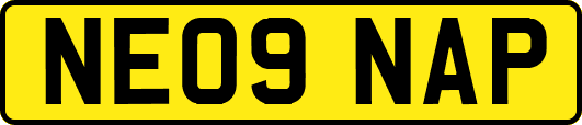 NE09NAP