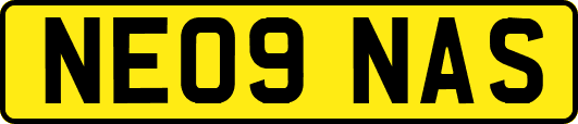 NE09NAS
