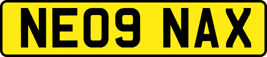NE09NAX