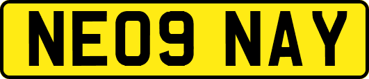 NE09NAY