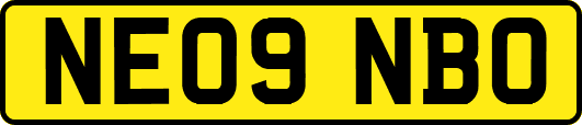 NE09NBO
