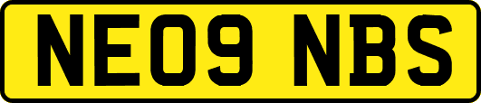 NE09NBS