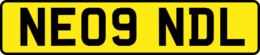 NE09NDL