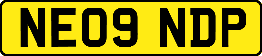 NE09NDP