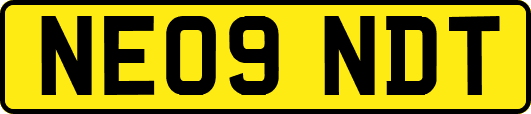 NE09NDT