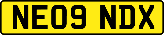 NE09NDX