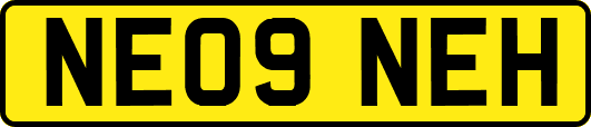 NE09NEH