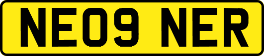 NE09NER