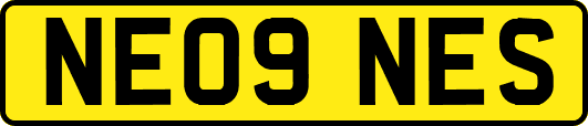 NE09NES