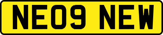 NE09NEW