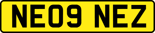 NE09NEZ