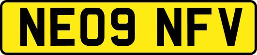 NE09NFV