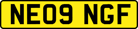 NE09NGF