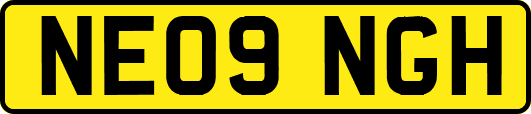 NE09NGH