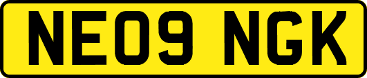 NE09NGK