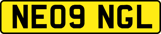 NE09NGL