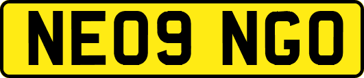 NE09NGO