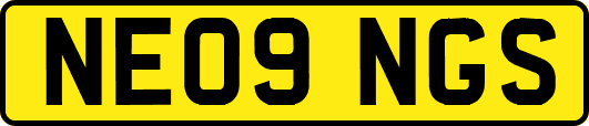 NE09NGS