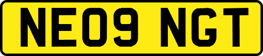 NE09NGT