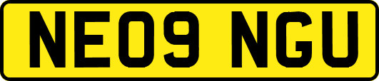 NE09NGU